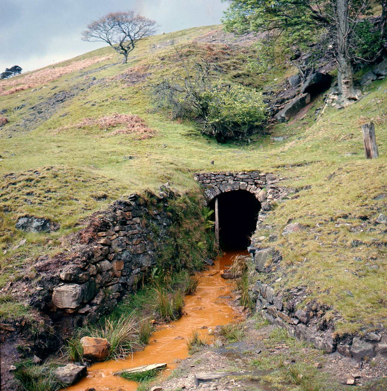 Yorke Level Merryfield 1971